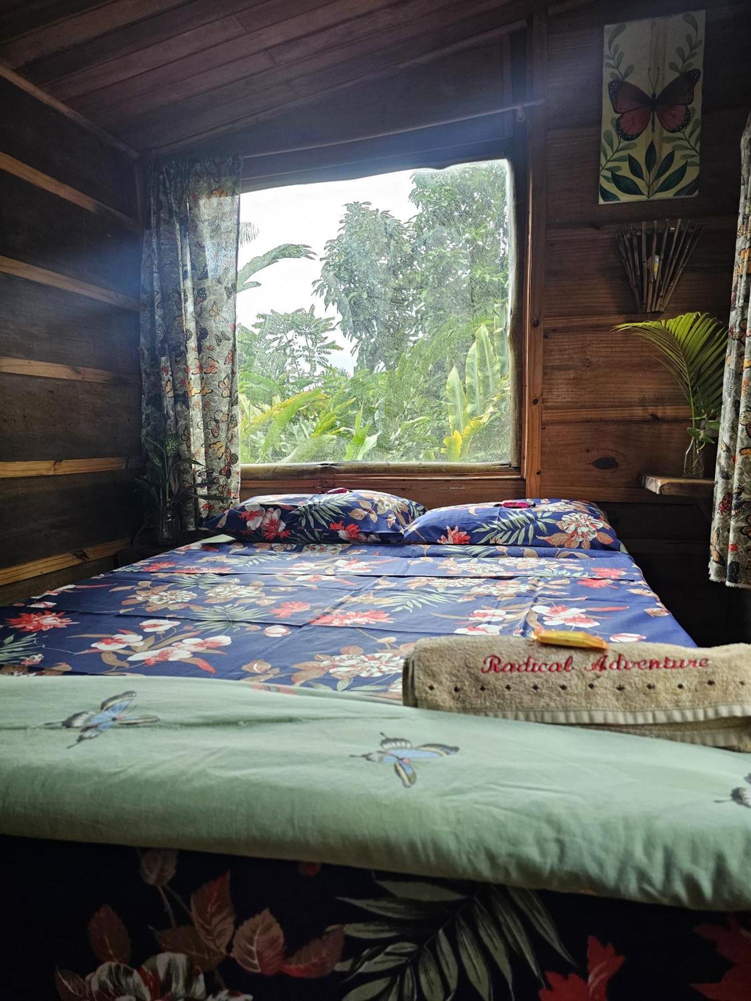 Eco Hostel Organic Life Trindade  Esterno foto